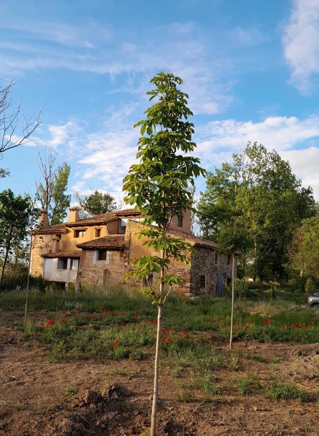 Molino Del Buho Guest House Torre la Carcel Exterior photo
